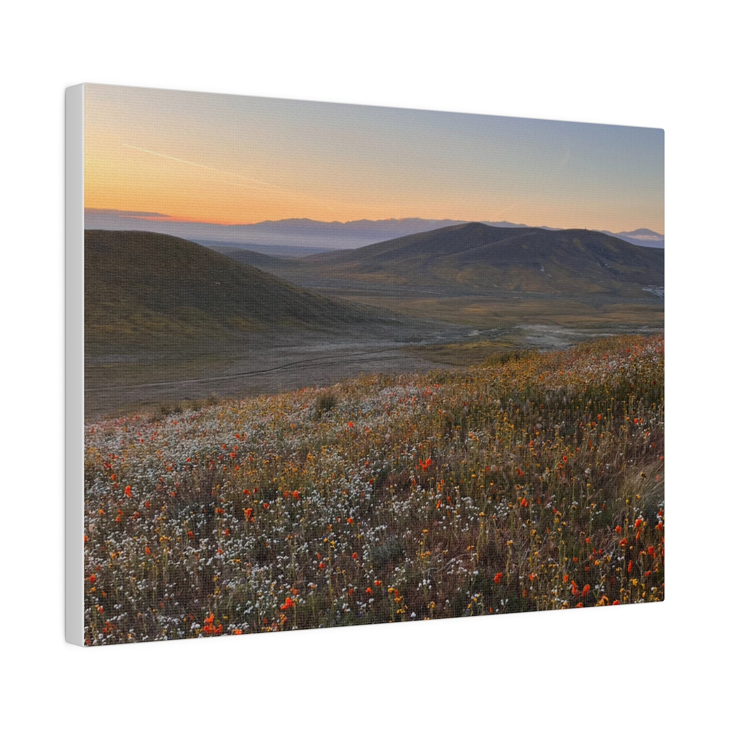 Poppies # 3 by Maleeh Molstad Matte Canvas, Stretched, 0.75"