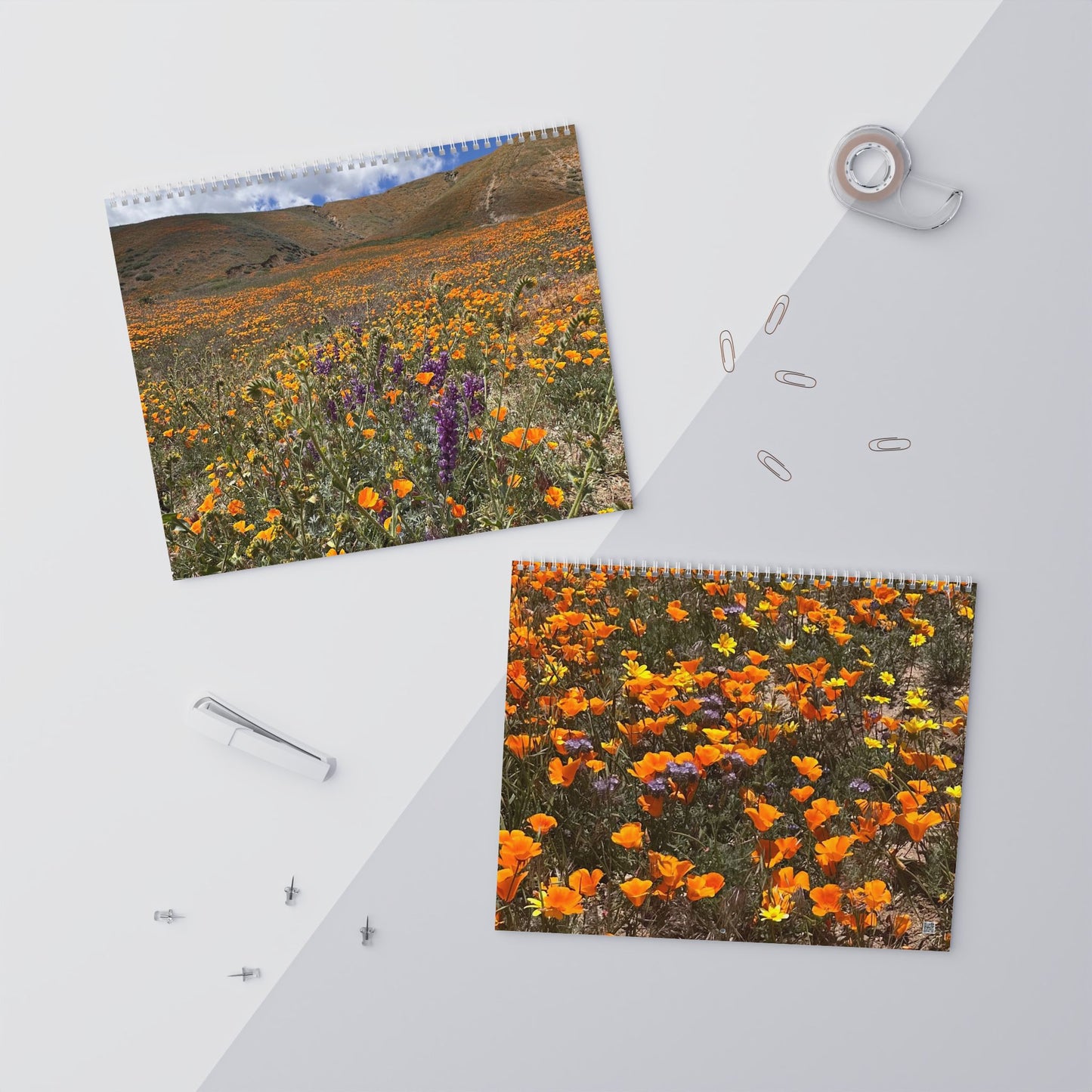 Wall Calendar (2026) - Nature Photography by Maleeh Molstad ~Monthly Planner, Inspirational Gift, Home Decor, Floral Artwork, Organizer